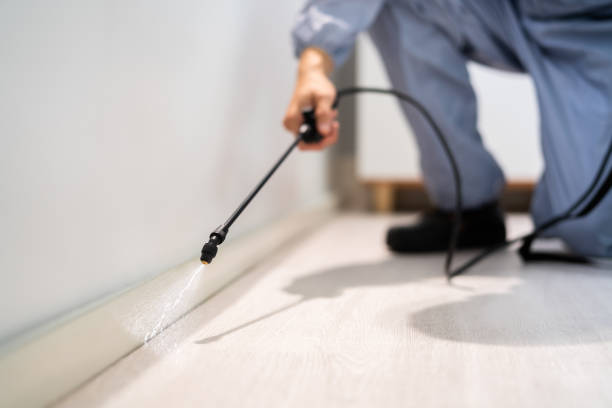 Licensed Mosquito Control service in Leonard, TX - Show Me Pest Control