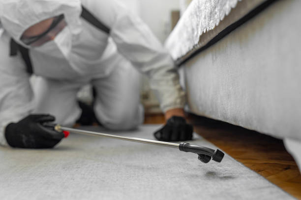 Professional Ant Control technician working in Leonard, TX