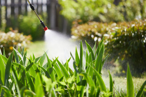 24/7 Emergency Mosquito Control experts in Leonard, TX